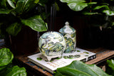 Mews Collective Green Sage & Cedar Large Scented Candle (320g)