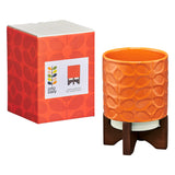 Orla Kiely Ceramic Plant Pot with Wooden Stand (Small) - 60s Stem Tomato