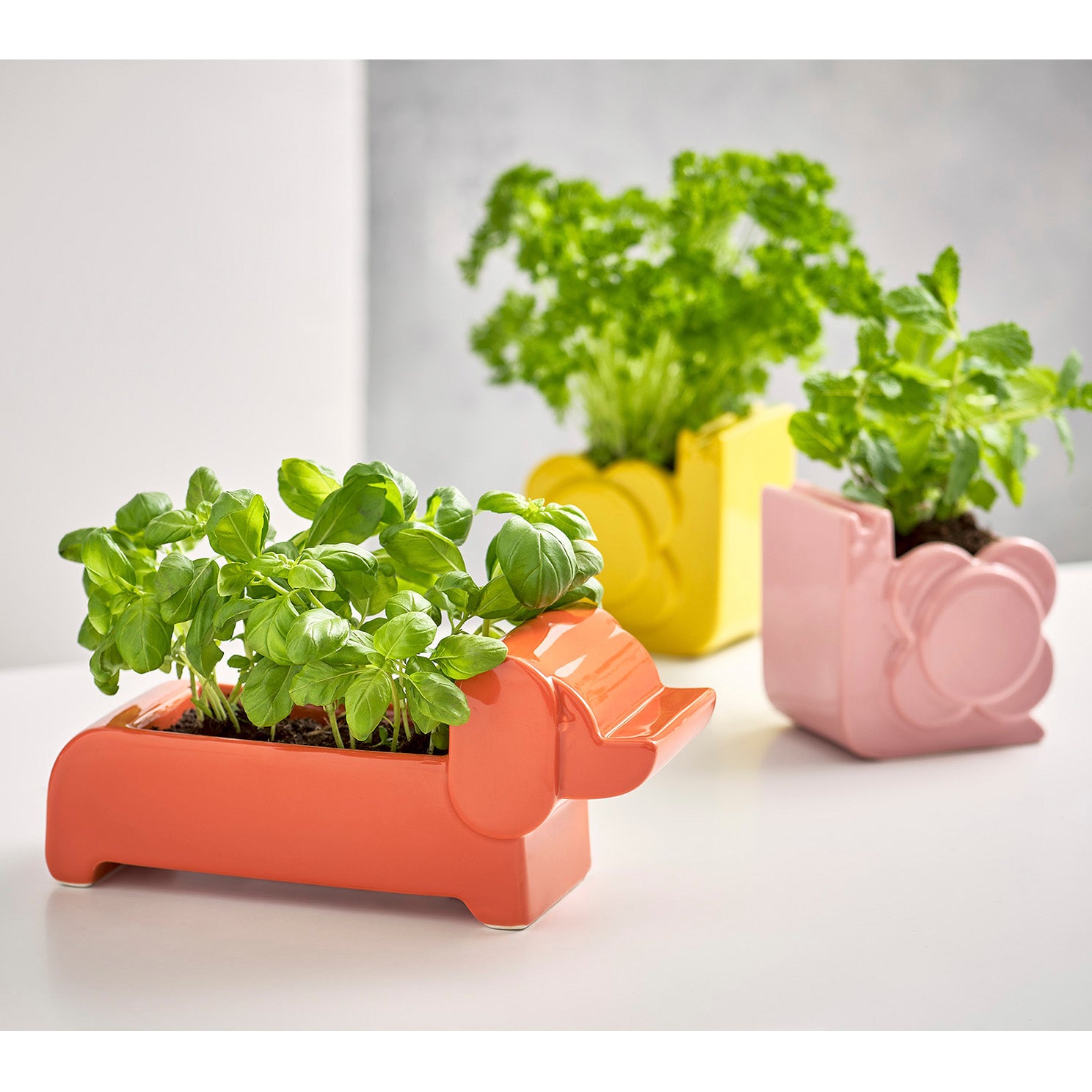 orla kiely plant pot Orla Kiely Dandelion Snail Shaped Planter – TotallyEnchanted